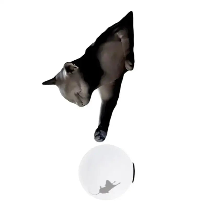 Applique Murale Originale Chat Avec Boule Lumineuse Élégant