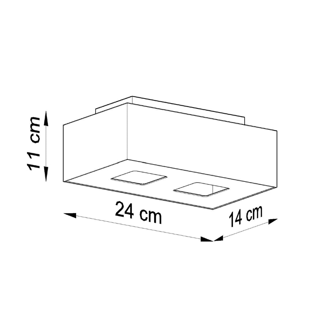 Luminaire Plafonnier | MONO 2 (Noir)