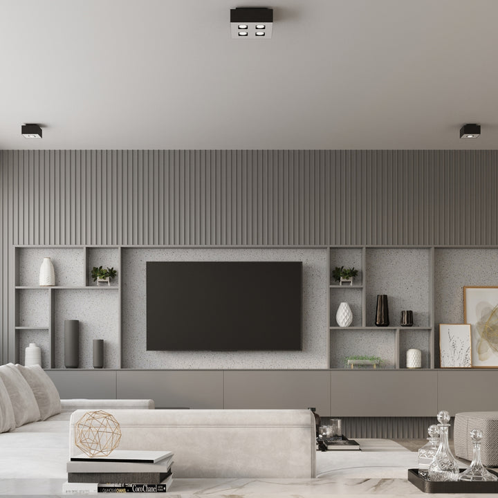 Luminaire Plafonnier | MONO 2 (Noir)