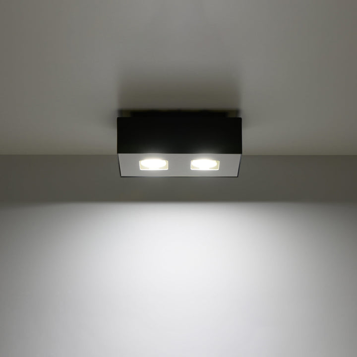 Luminaire Plafonnier | MONO 2 (Noir)