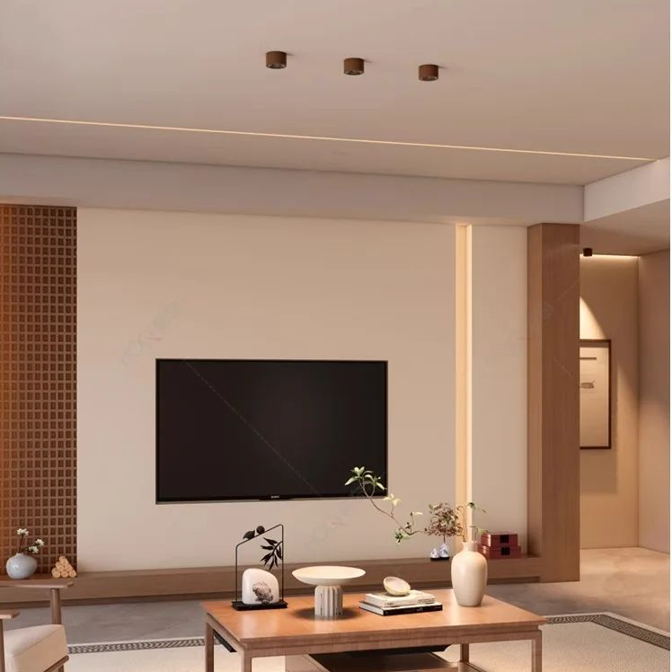 Luminaire Plafonnier | SUTYGIRE