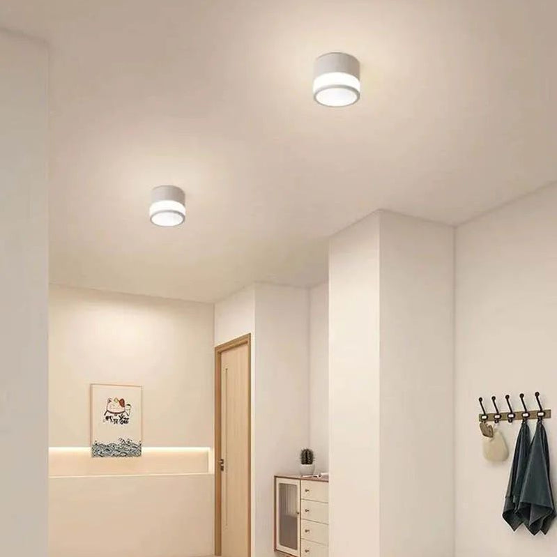 Luminaire Plafonnier | DRELIN