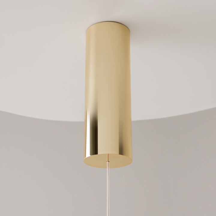 Suspension Luminaire | GOLDEN CAGE (Tube Vertical)