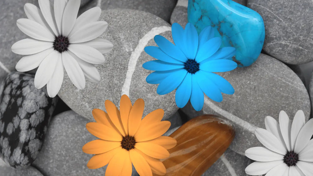 Tout savoir sur les plafonniers naturels