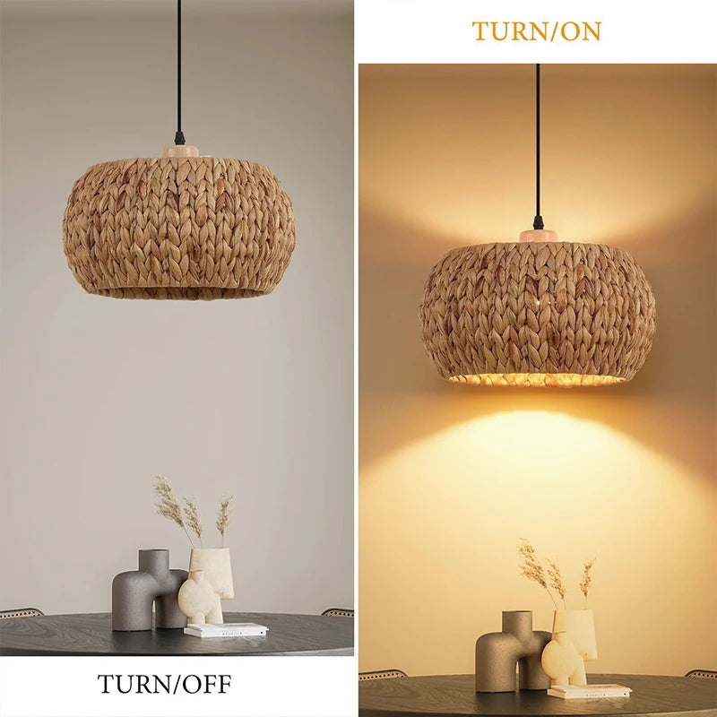 Suspension Luminaire | DEBASE