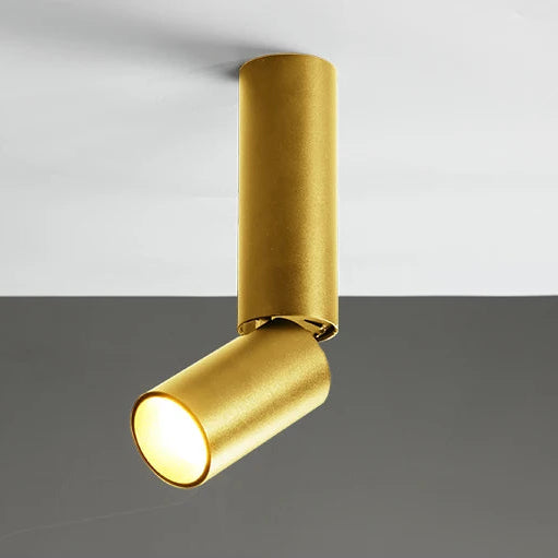 Luminaire Plafonnier | DARITUS