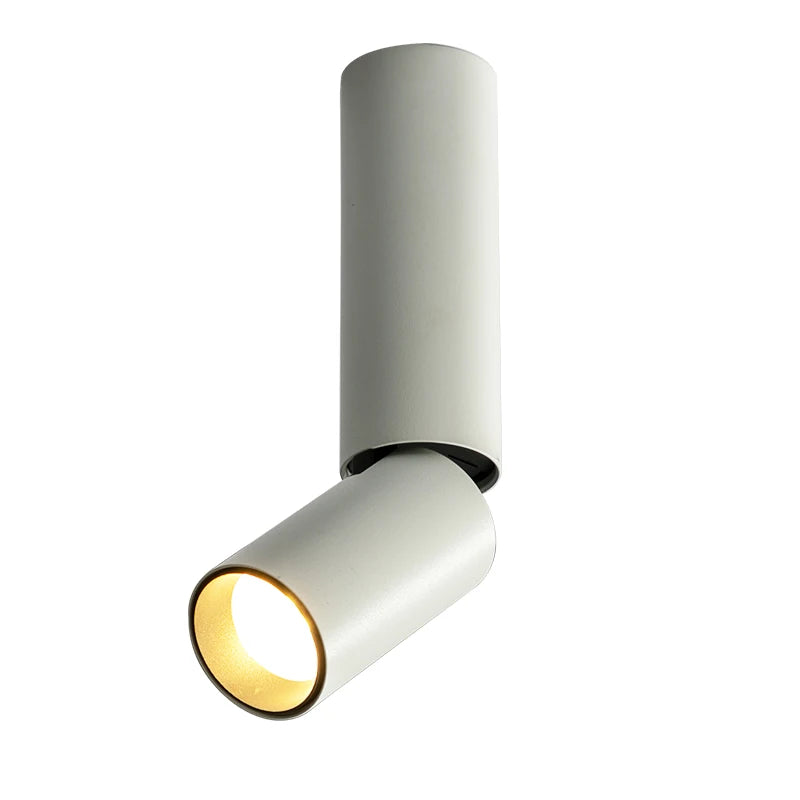 Luminaire Plafonnier | DARITUS