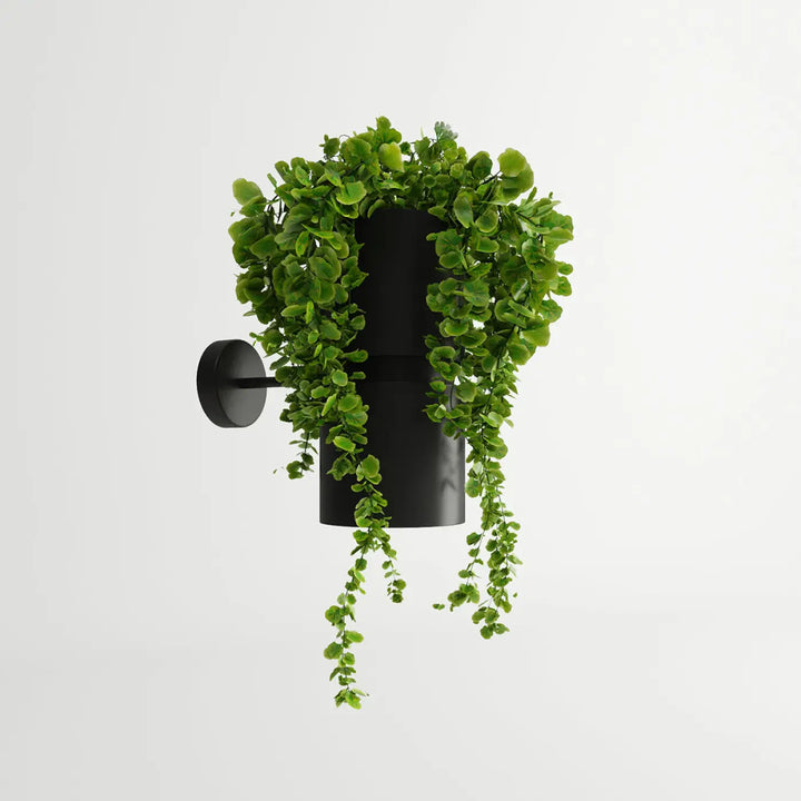 Applique murale kukkia noir en cylindre avec feuillage tombant pour jardins suspendus design exceptionnel
