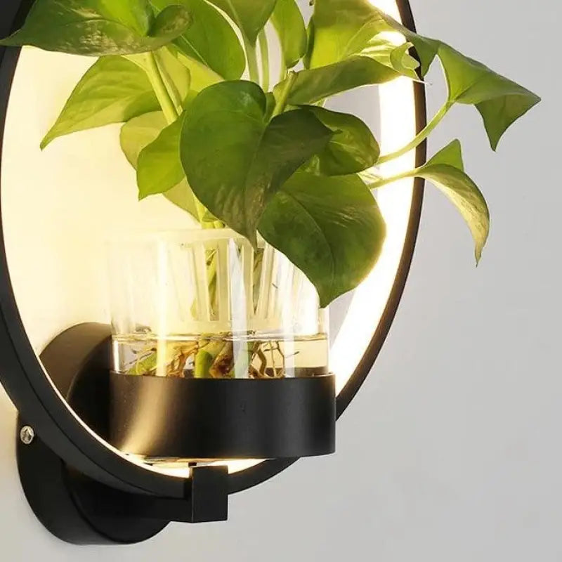 Appliques Murales Naturelles Design Cercle