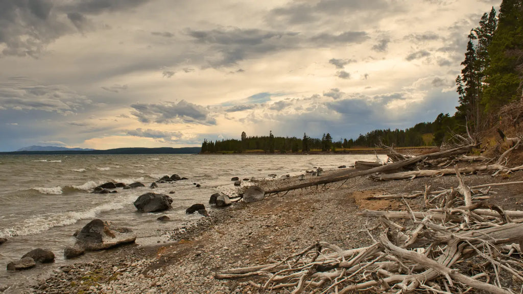 comment fabriquer un lampadaire en bois flotté
