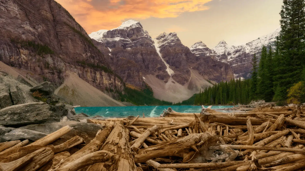 de lampadaire en bois flotté