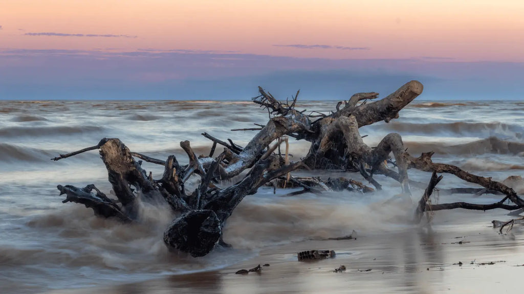 je cherche un lampadaire en bois flotté à royan