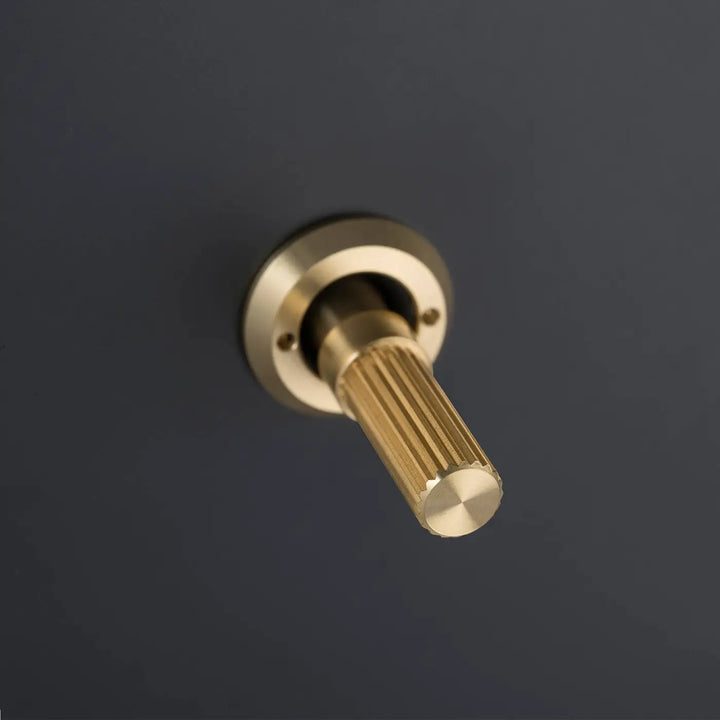 Détail d'un interrupteur à levier à gravure alignée, finitions noir et laiton #couleur_dor