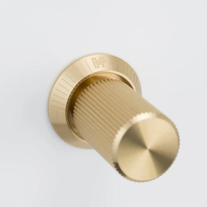 Détail d'un variateur à gravure alignée, finitions blanc et laiton #couleur_dor