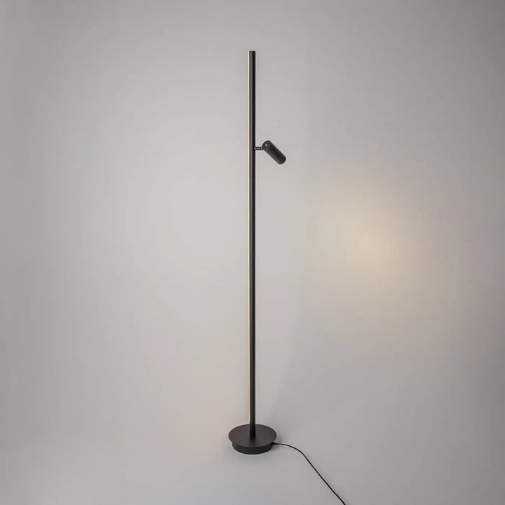 Lampadaire thin noir en métal avec un poteau mince et un spot led ajustable idéal d’un canapé