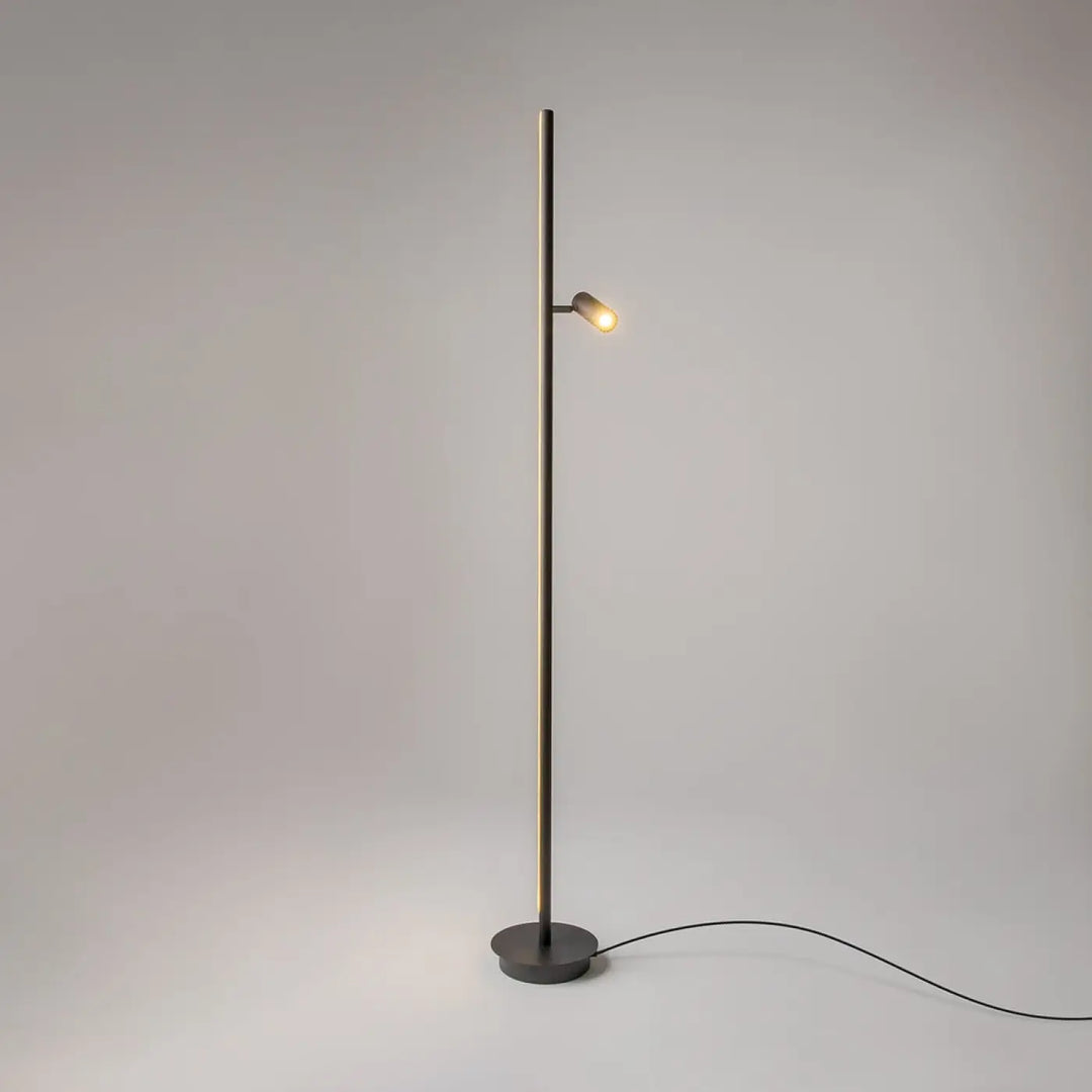 Lampadaire thin minimaliste avec poteau métallique fin et spot led réglable émettant une lumière chaude d’un canapé