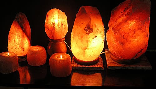 Elles peuvent améliorer votre humeur