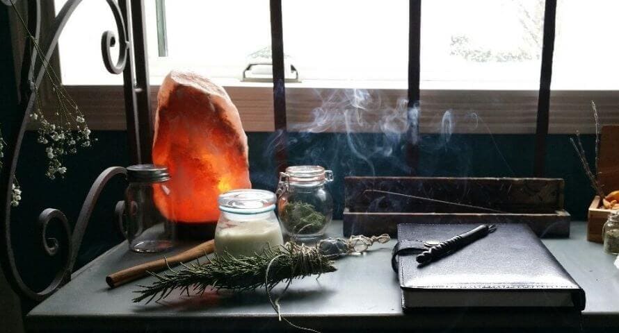 Elles améliorent la qualité de l'air