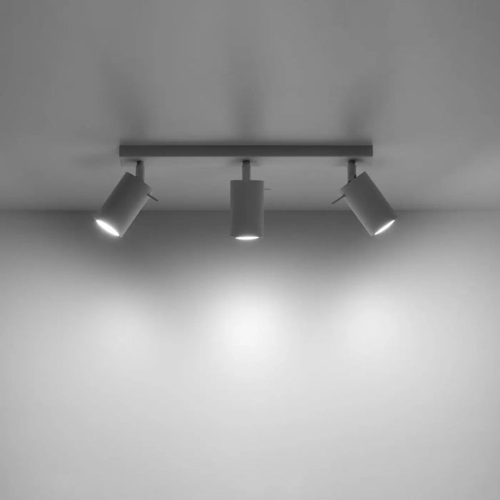 Luminaire plafonnier ring 3 blanc avec trois spots réglables que vous pouvez facilement installer pour un éclairage moderne