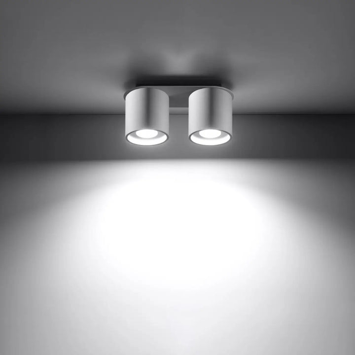 Luminaire plafonnier orbis 2 blanc avec deux têtes cylindriques modernes en bois naturel diffusant une lumière vive ciblée