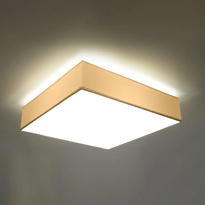 Luminaire plafonnier blanc allumé, vue rapprochée
