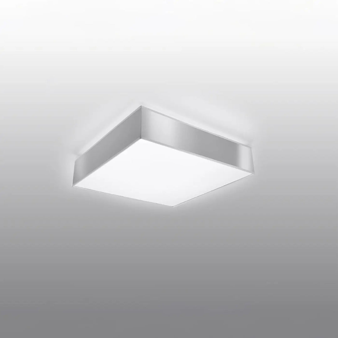 Luminaire plafonnier gris éteint, vue rapprochée