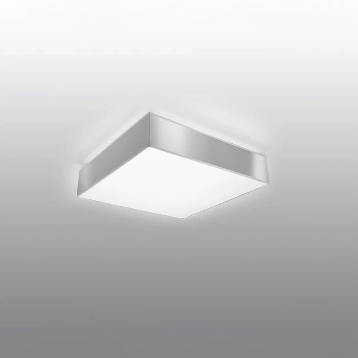 Luminaire plafonnier gris éteint, vue rapprochée