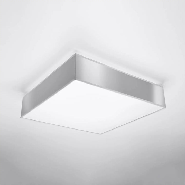 Luminaire plafonnier gris éteint, vue rapprochée
