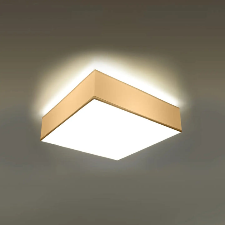 Luminaire plafonnier blanc allumé, vue rapprochée