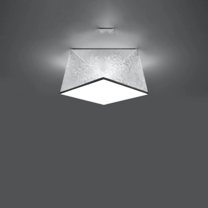 Plafonnier hexa 25 argent avec diffuseur en verre dépoli et cadre métallique pour un éclairage exclusif moderne