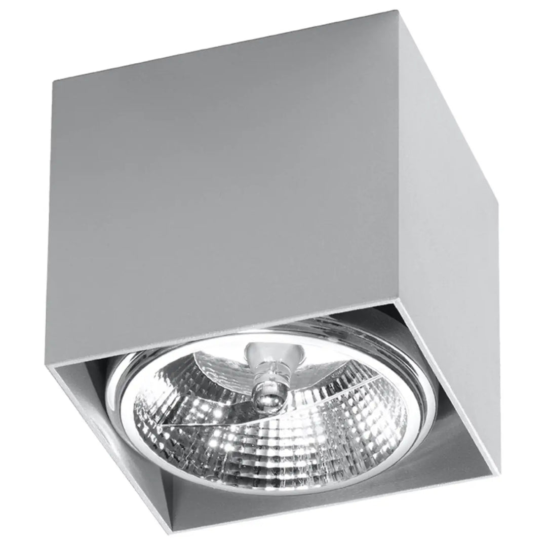 Luminaire plafonnier blake gris en forme minimaliste avec finition métallique polie et logement réfléchissant moderne