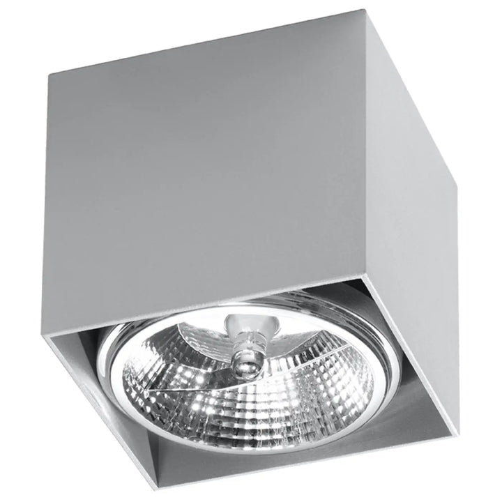 Luminaire plafonnier blake gris en forme minimaliste avec finition métallique polie et logement réfléchissant moderne