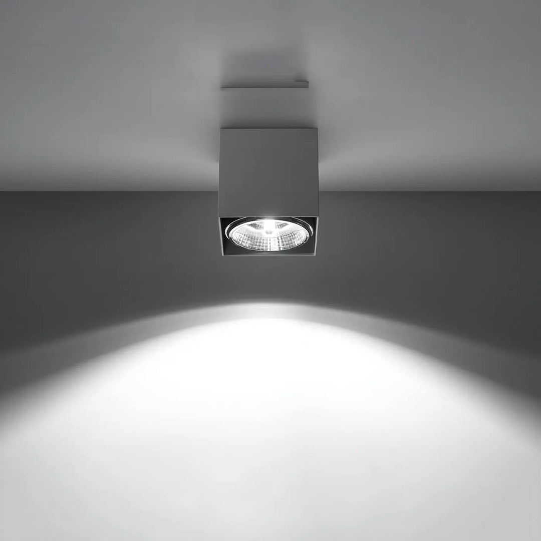 Plafonnier blake gris en forme minimaliste avec finition métallique moderne et éclairage blanc ciblé