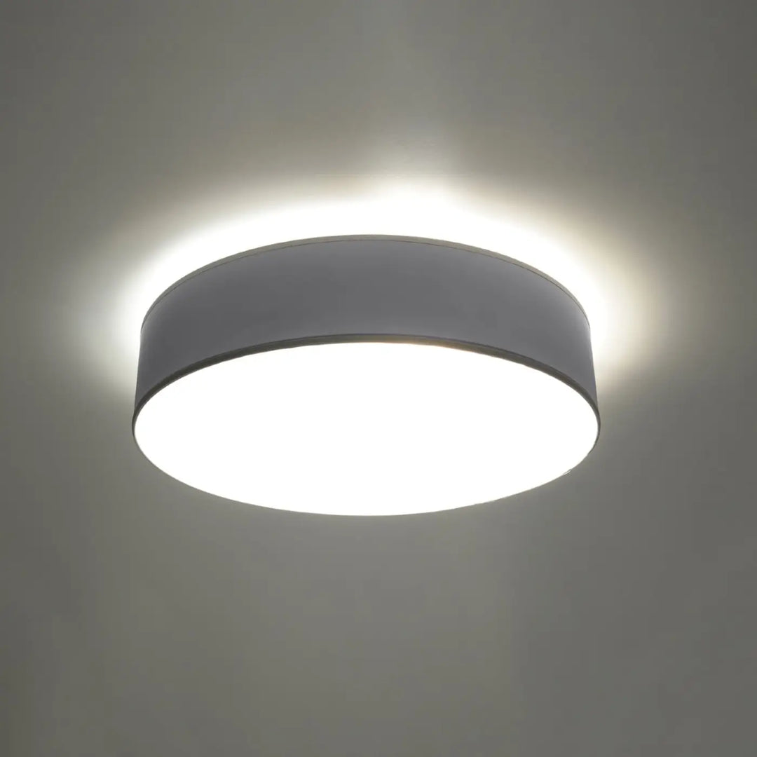 Luminaire plafonnier gris éteint, vue rapprochée