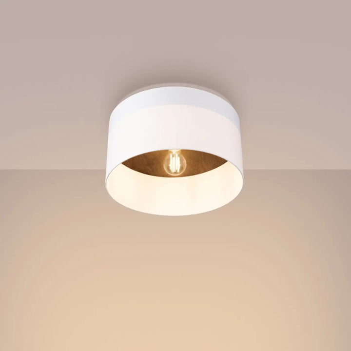 Plafonnier blanc/marron foncé allumé