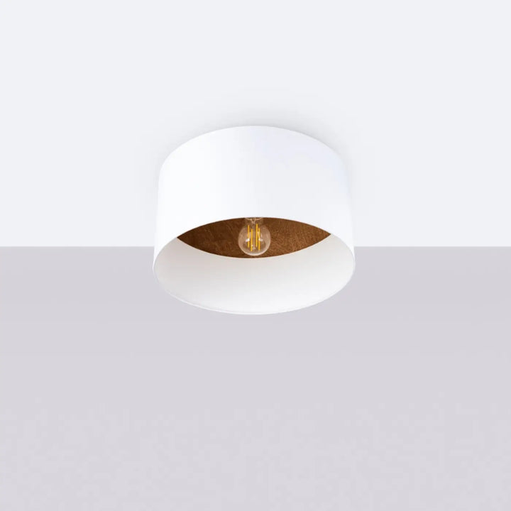 Plafonnier blanc/marron foncé éteint