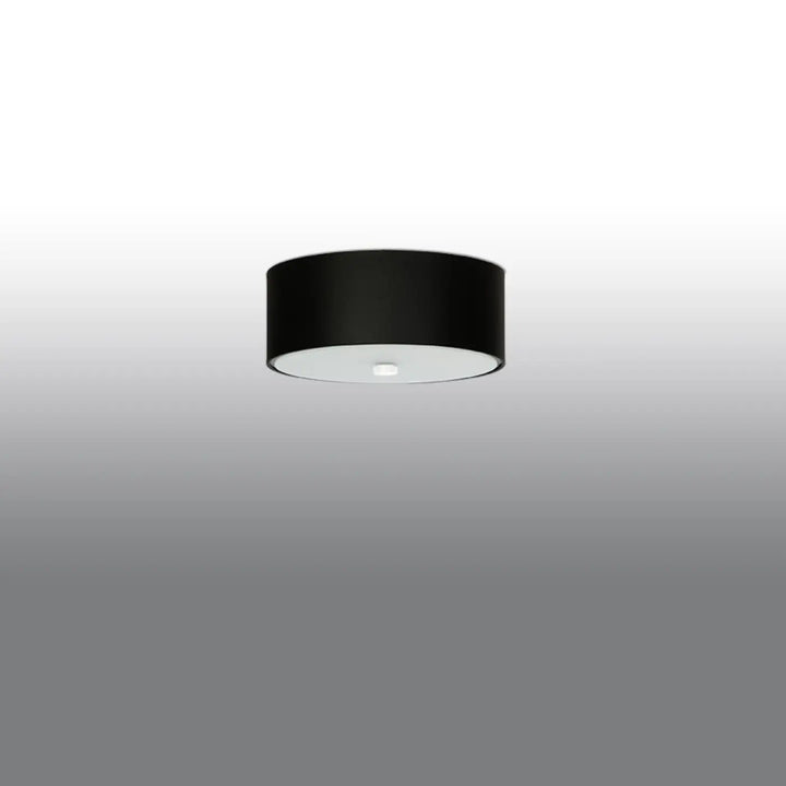 Luminaire plafonnier noir éteint