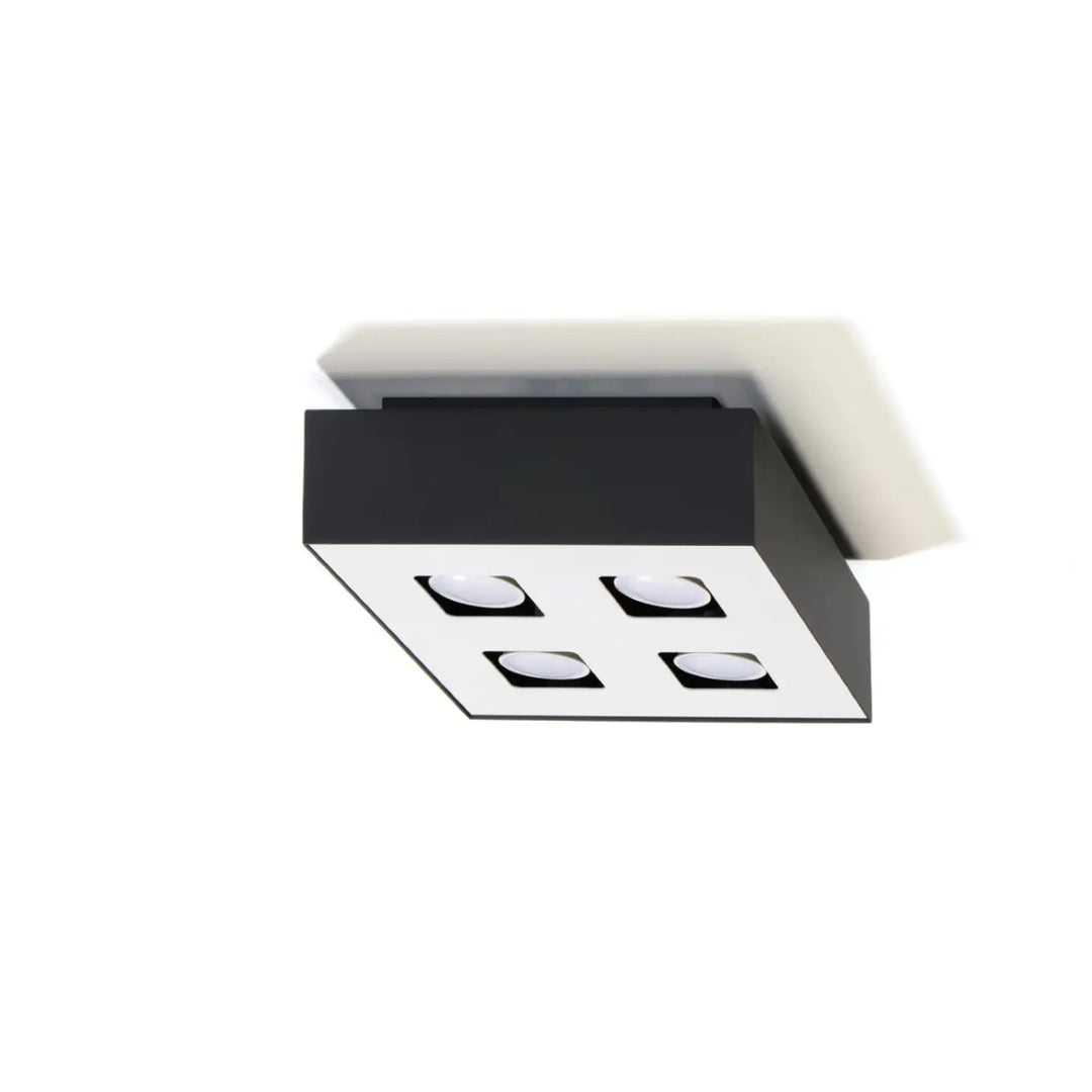 Luminaire Plafonnier noir/blanc éteinte, vue rapprochée