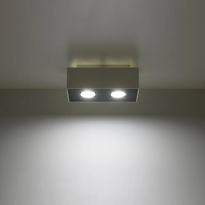 Luminaire plafonnier mono avec face inférieure en boîtier dacier et spots alignés à leds blanches brillantes