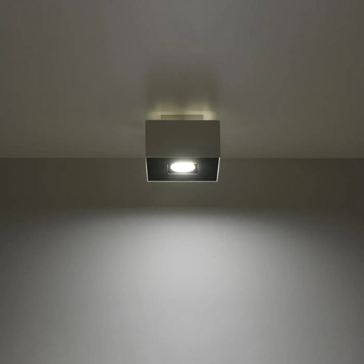 Luminaire Plafonnier blanc/noir allumée, vue rapprochée