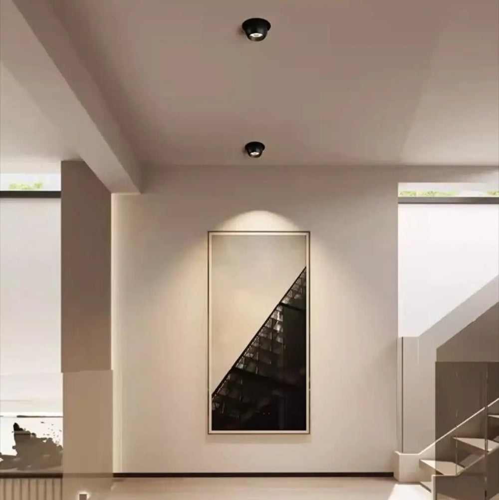 Luminaire plafonnier tsika design minimaliste noir et blanc avec cadre argenté et orientation ajustable plafonnier encastré