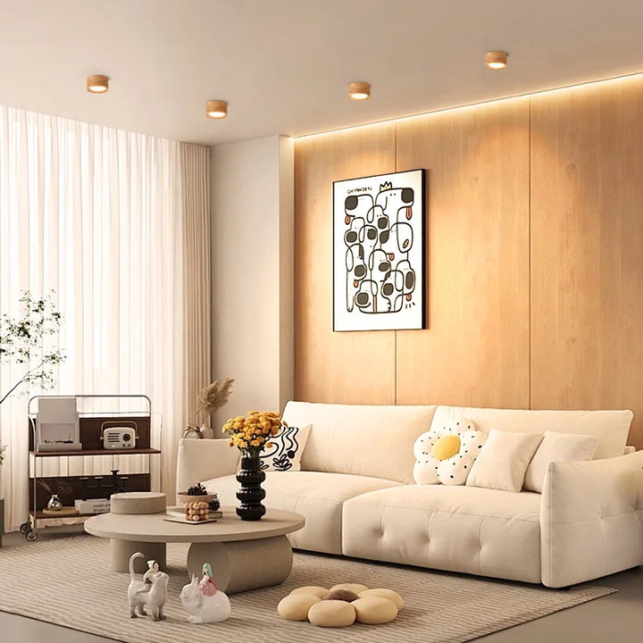 Luminaire Plafonnier | ROTABU