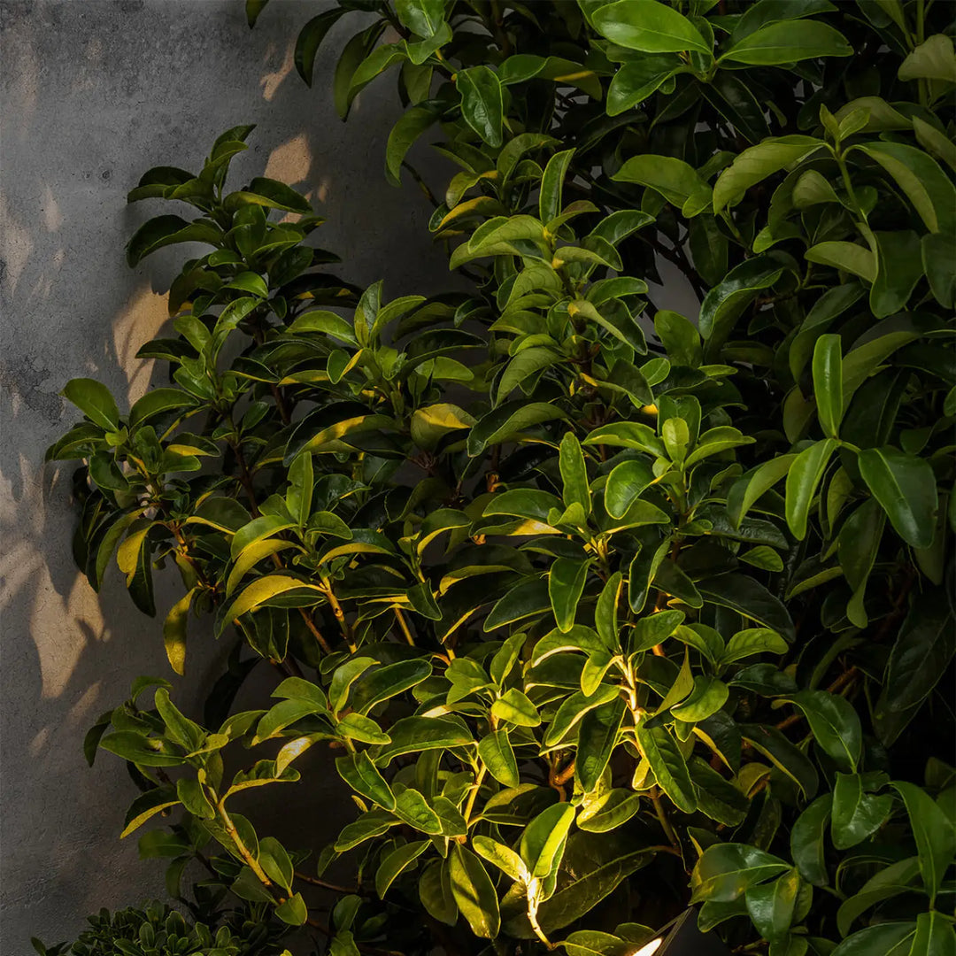 Projecteur sur piquet Sobek de Faro Barcelona en situation