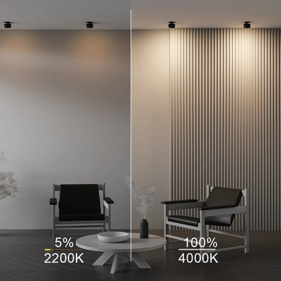 Intérieur minimaliste avec deux fauteuils noirs en cuir et cadres métalliques blancs spotlight onda led rétractable dim to warm