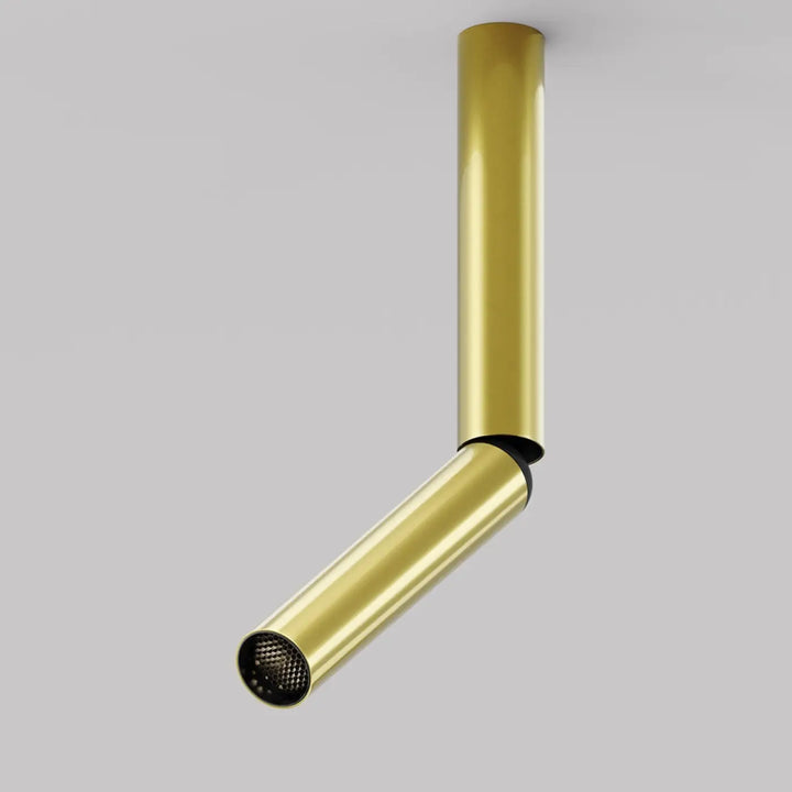 Spot focus gold finition tube fin avec tête directionnelle noire à diffuseur en maille pour plafond