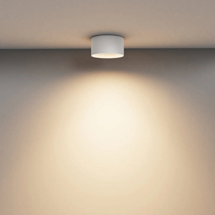 Spot vega led intégrée blanc cylindre plafond émet une lumière chaude et ciblée pour éclairage intérieur