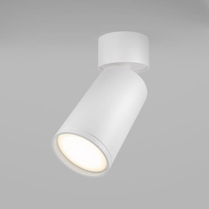 Spot focus orientable blanc cylindrique avec tête ajustable finition mate pour éclairage directionnel intérieur