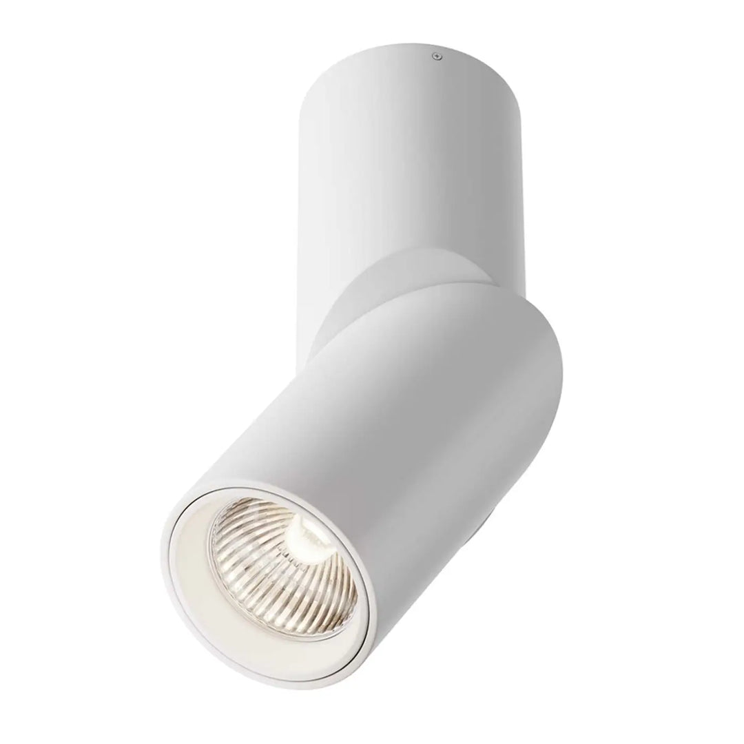 Spot dafne saillie led blanc cylindrique ajustable avec finition mate et réflecteur interne visible en aluminium noir
