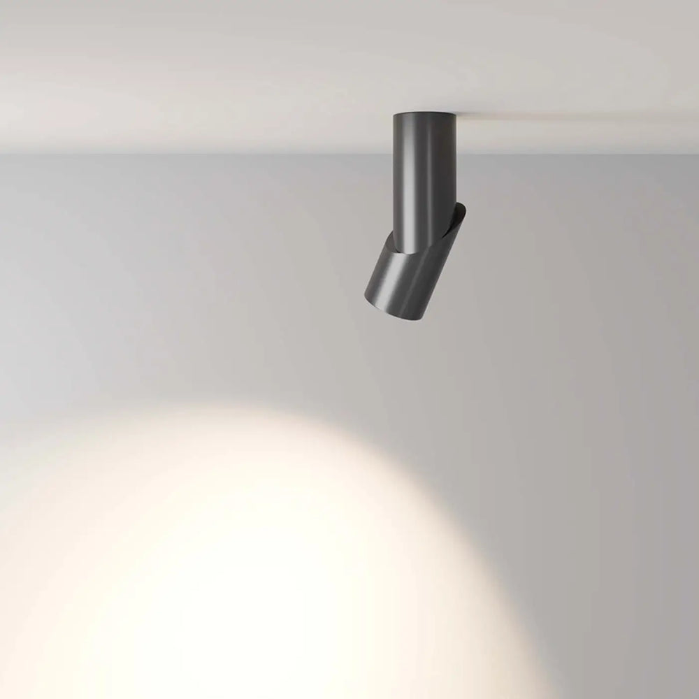 Spot dafne saillie dafne led aluminium noir spot cylindrique maté au plafond au design minimaliste
