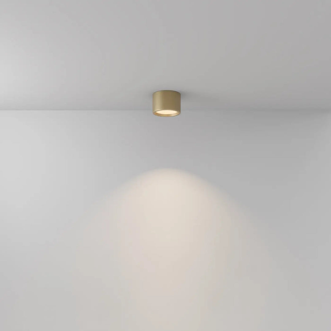 Spot hydra led en laiton cylindre avec indice ip44 offrant une lumière douce pour plafond en saillie